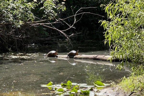 Seminole County Environmental