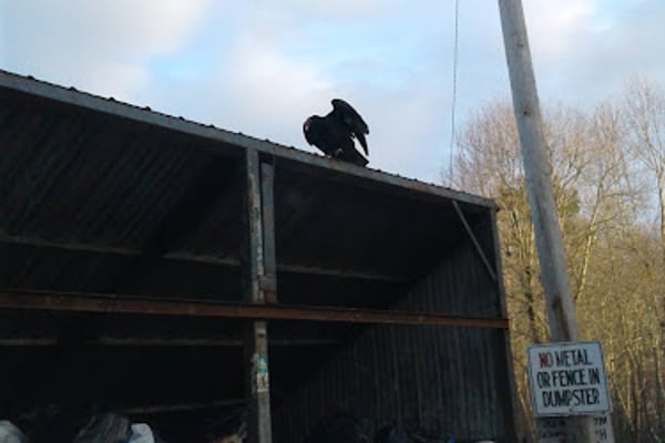 Amissville Refuse & Recycling Center
