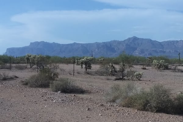 Desert Wells Multi-use Recreation Area