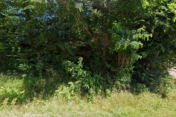 County Land Fill