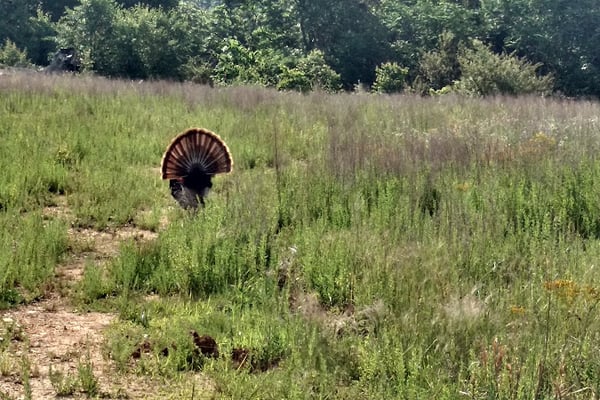 Roane County Landfill