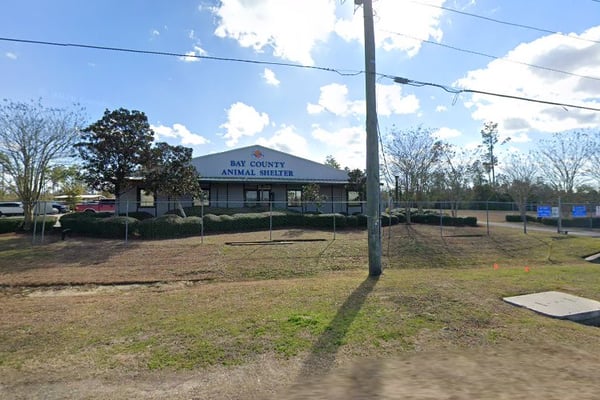 Bay County Incinerator