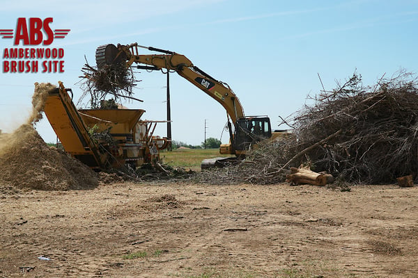 Amberwood Brush Site