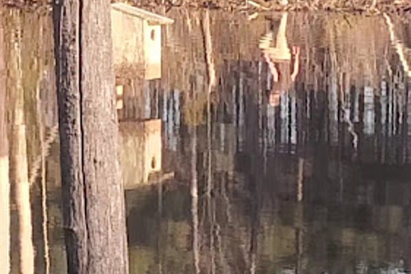 Columbus County Landfill