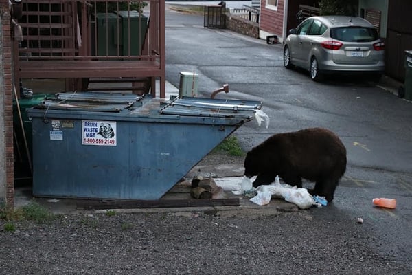 Bruin Waste And Recycle