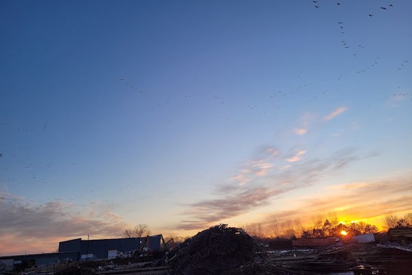 Alter Metal Recycling - Waterloo