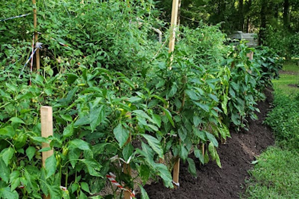 Environmental Compost Facility - Lafayette Consolidated Government