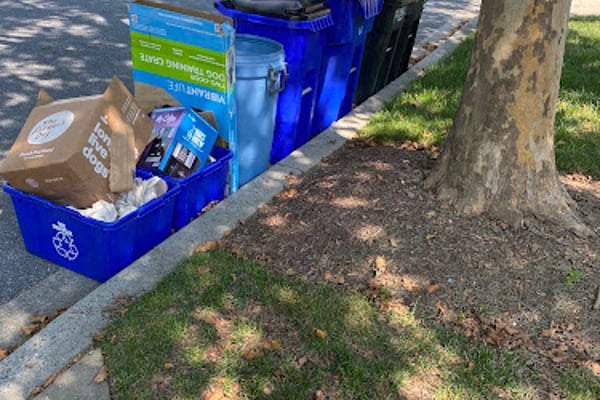 Ecology Services