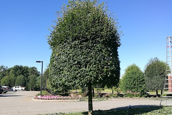 Roxbury Twp Public Works & Recycling Center
