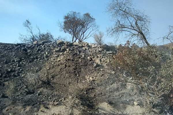 Ventura Regional Sanitation