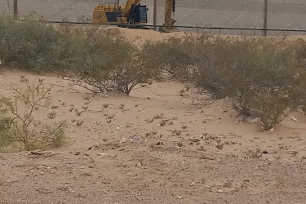 Clint environmental services