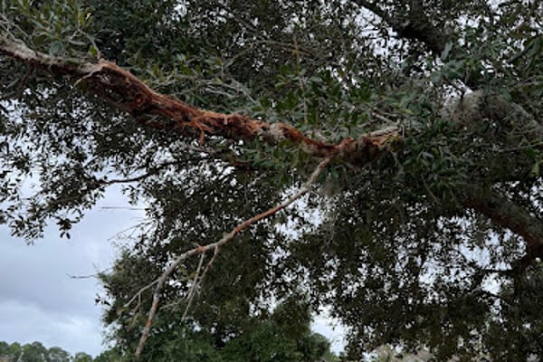 St Johns County Environmental
