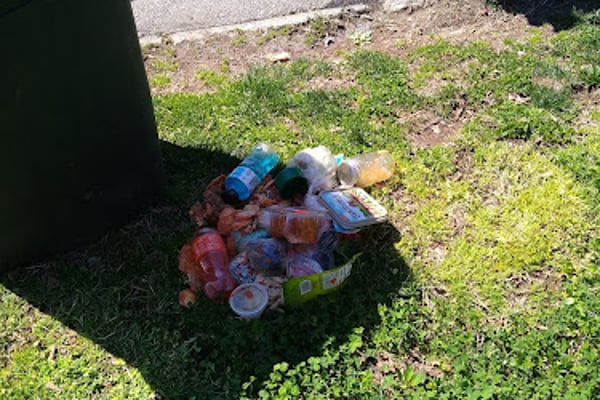 Division of Waste Management