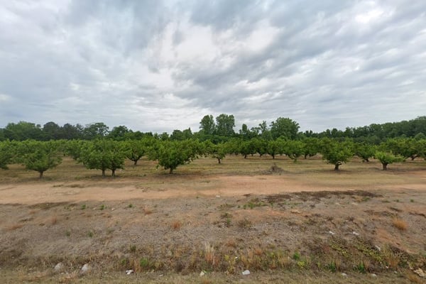 Edgefield county #1 recycling center