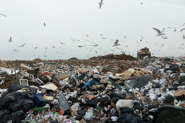 Baltimore City Department of Public Works S Sanitation Yard