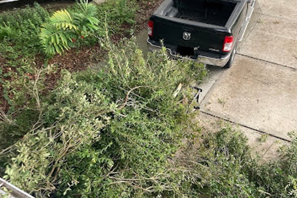 St. Petersburg Brush Collection/Recycling