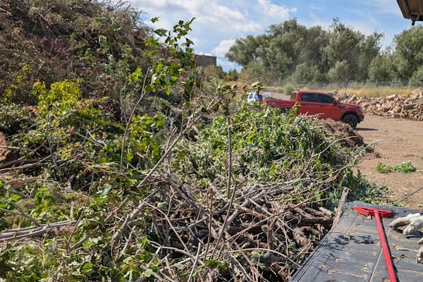Douglas County Slash Mulch Program