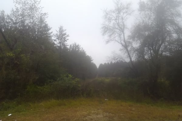 County Landfill