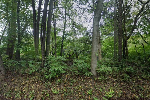 Montpelier Collection Site