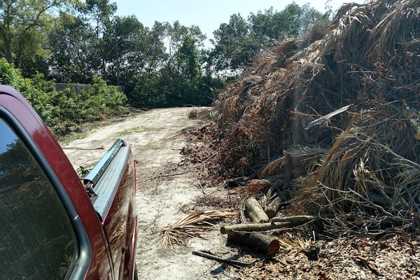 St. Petersburg Brush and recycling