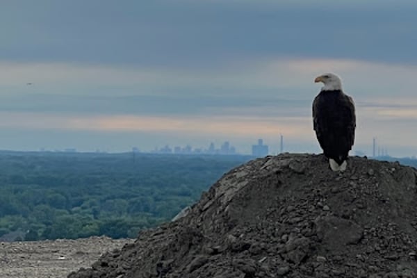 Carleton Farms landfill