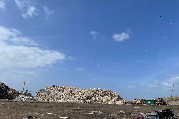 GreenWaste Zanker Resource Recovery Facility: Site 1