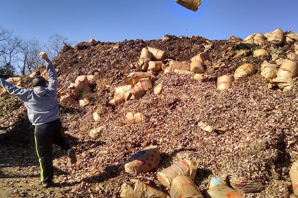 Tuthill Farms & Composting Inc