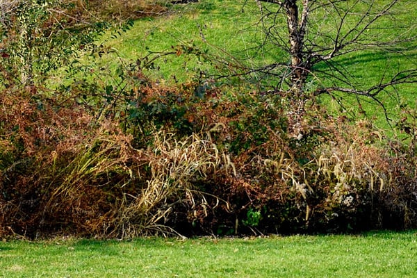 Swatara Township Yard Waste Composting Facility