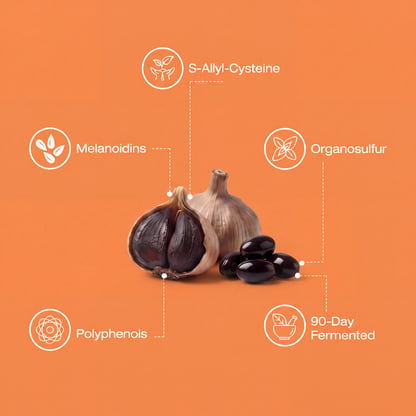 Fermented Black Garlic Extract