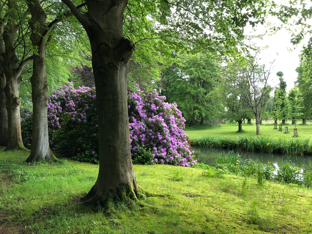 Bloem Buitenpsychologie foto 4
