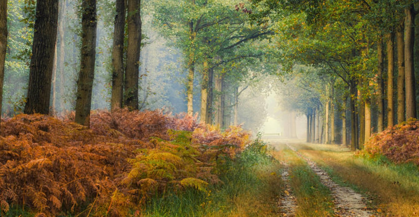 Andando, Wandelpsycholoog West Brabant foto 3
