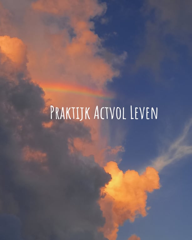 PRAKTIJK ACTVOL LEVEN