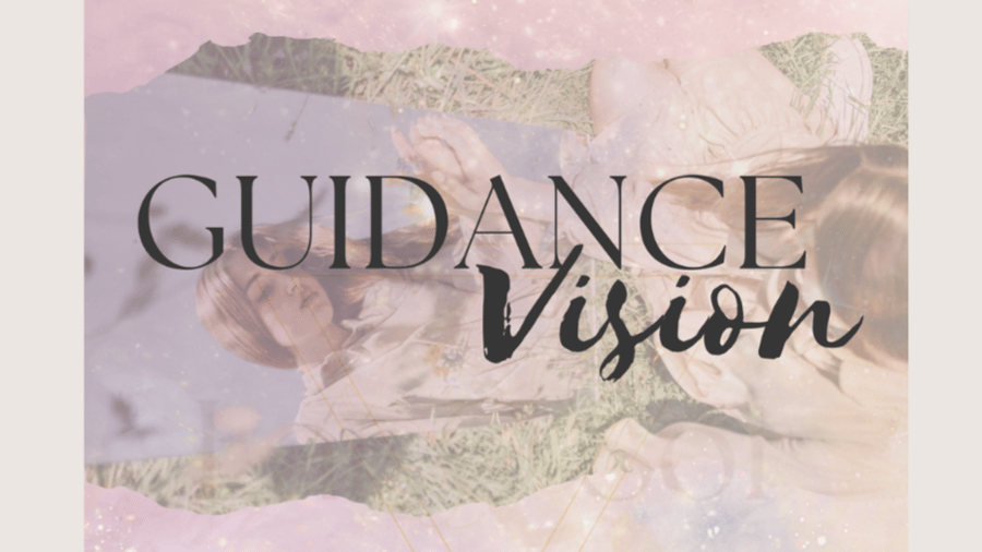 Guidance Vision 2H - Visio