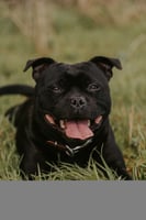 Photo additionnelle 2