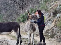 Photo additionnelle 1