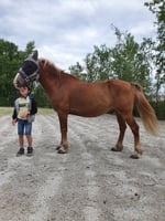 Photo additionnelle 1