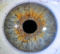 Photo additionnelle 0