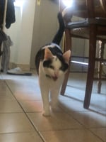 Photo additionnelle 1