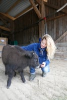 Photo additionnelle 2