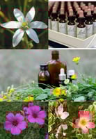 Photo additionnelle 1