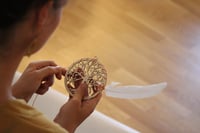 Photo additionnelle 2