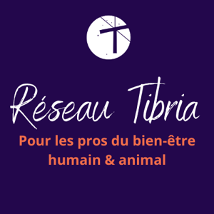 Equipe TIBRIA — photo 2