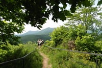 Photo additionnelle 1