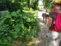 Photo additionnelle 2