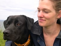 Photo additionnelle 0