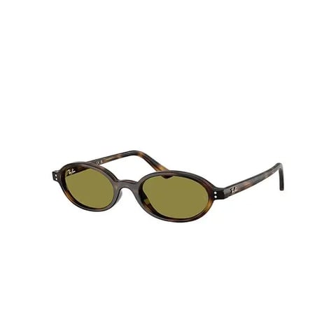 Sunglasses - Havana