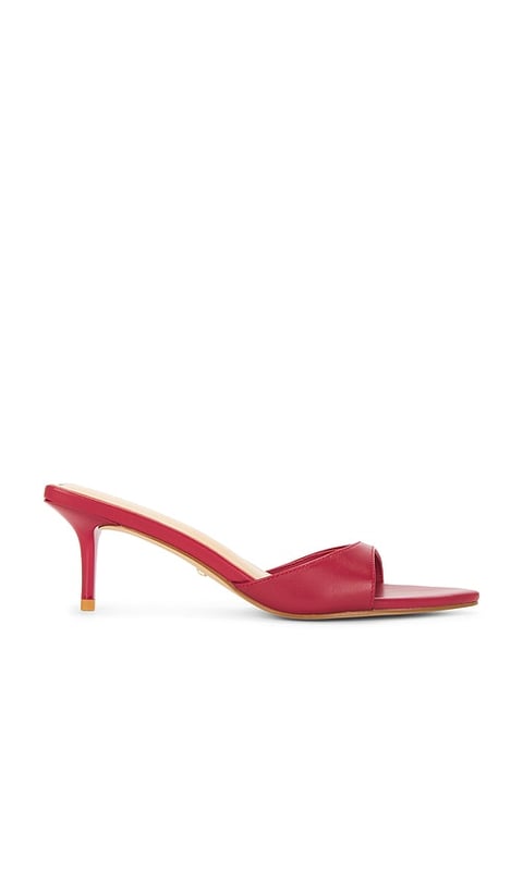 Chad Sandal