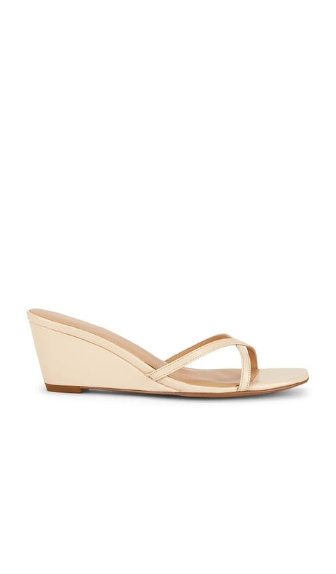 Clarice Wedge