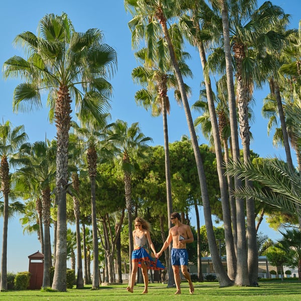 Barut HotelsGallery