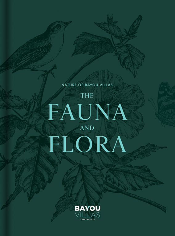 The Fauna and Flora - BAYOU Villas